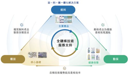 海大國際遞表港交所 分拆自海大集團，2024年凈利潤強勢翻倍
